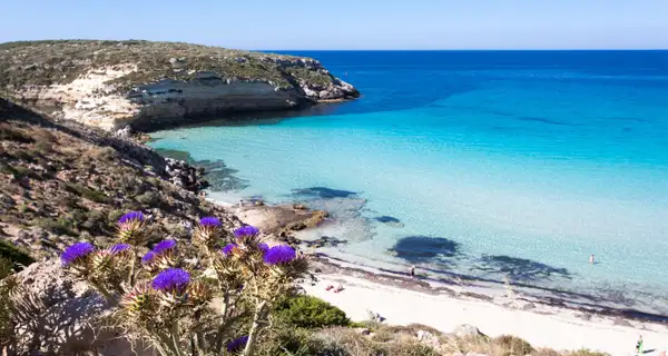 Spiaggia dei Conigli, Lampedusa