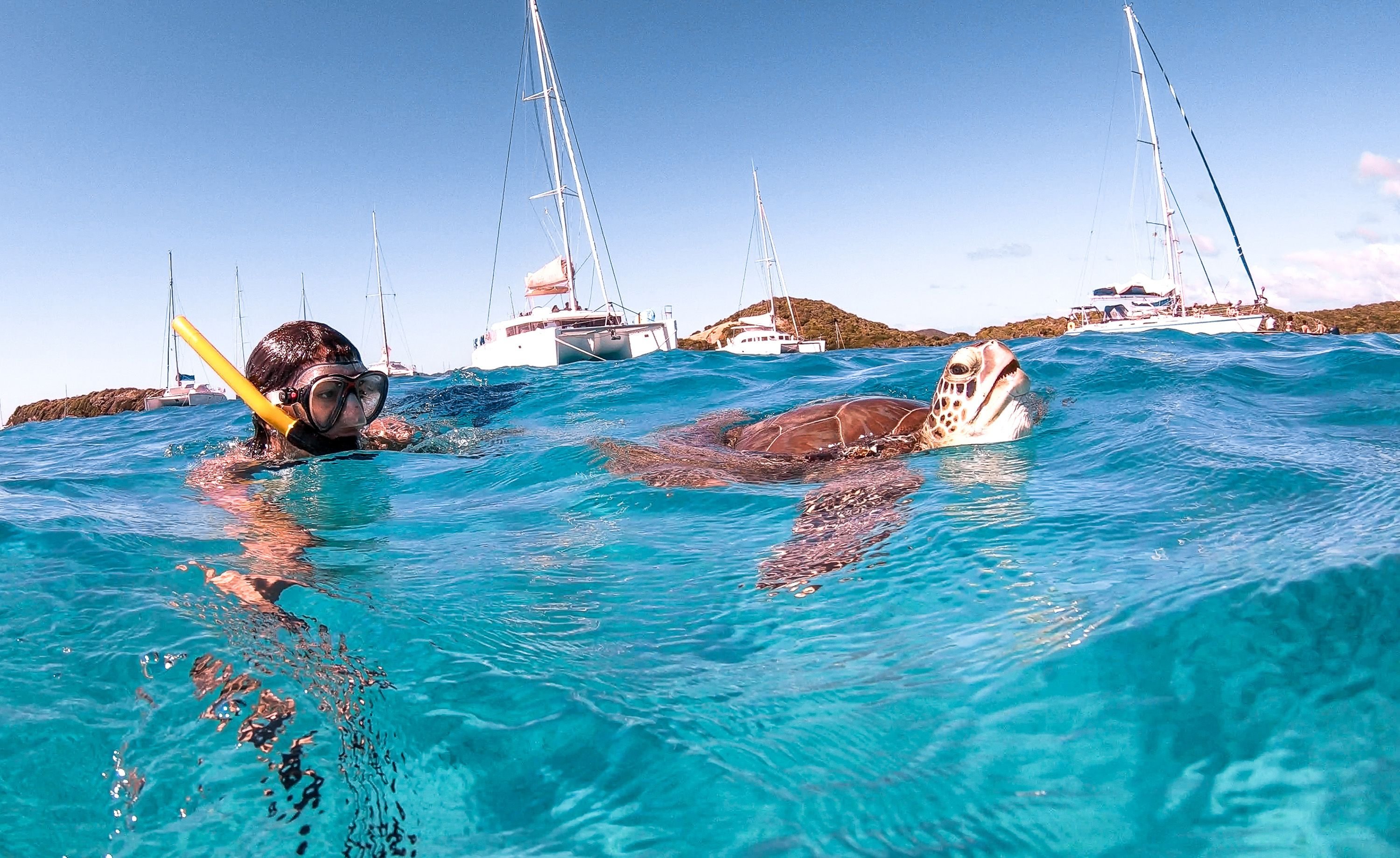 Christmas and New Year in the Caribbean