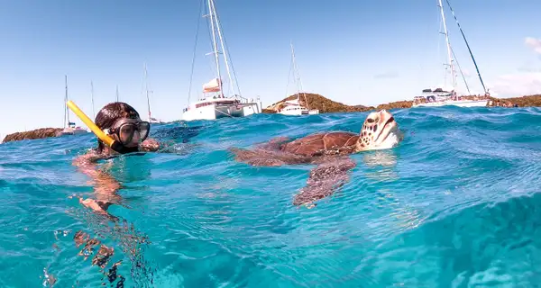 Noël et Nouvel An aux Antilles