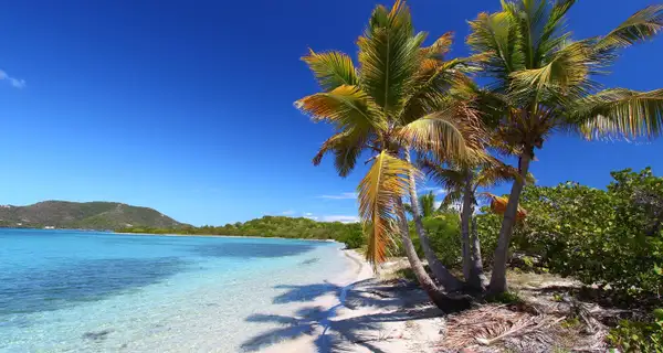 Jost Van Dyke e Cooper Island: le isole del divertimento