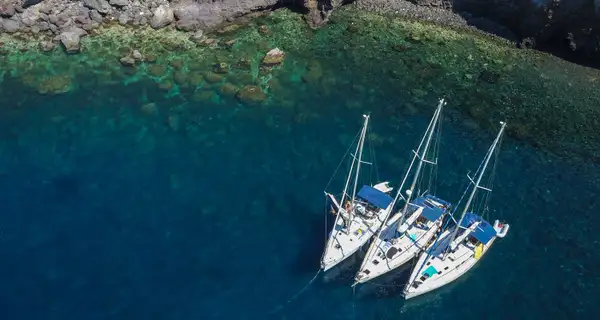 Mini flotillas