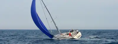 strapi image 1