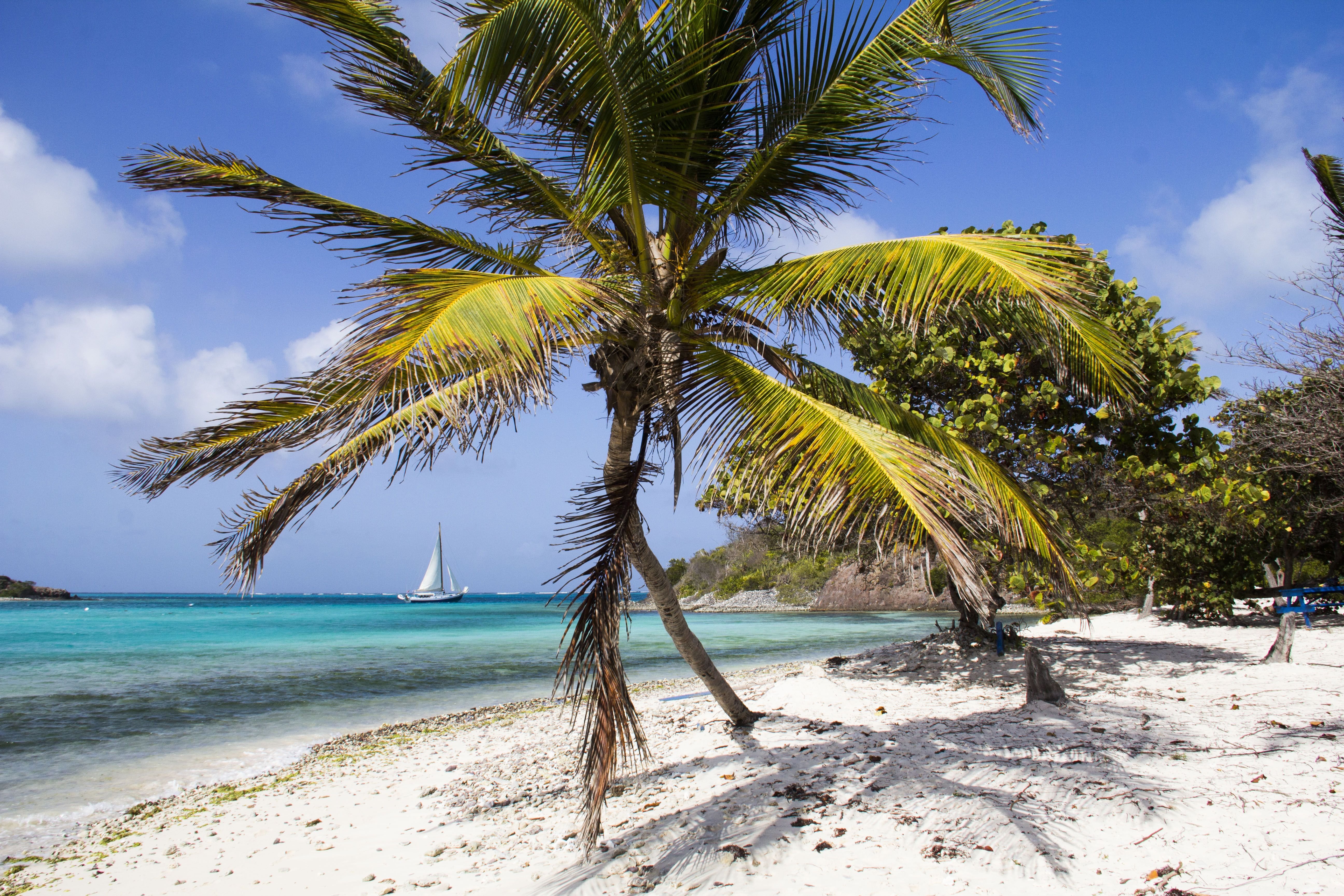 Croisière en catamaran aux Antilles françaises : de la Martinique à Saint-Barth sous les alizés