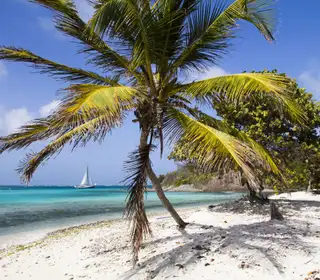 Croisière en catamaran aux Antilles françaises : de la Martinique à Saint-Barth sous les alizés