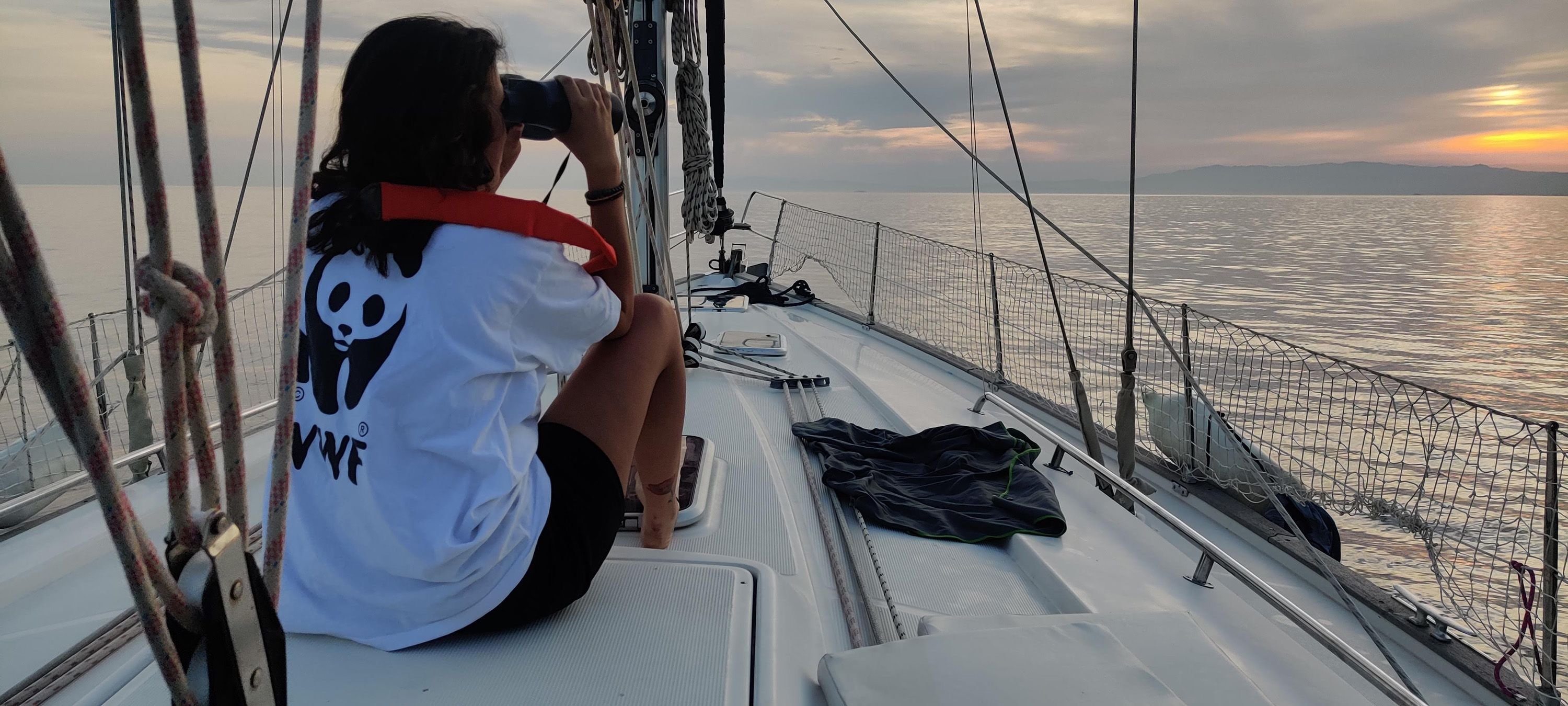 Un’avventura di whale watching con tutta la famiglia 