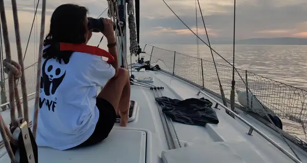 Un’avventura di whale watching con tutta la famiglia