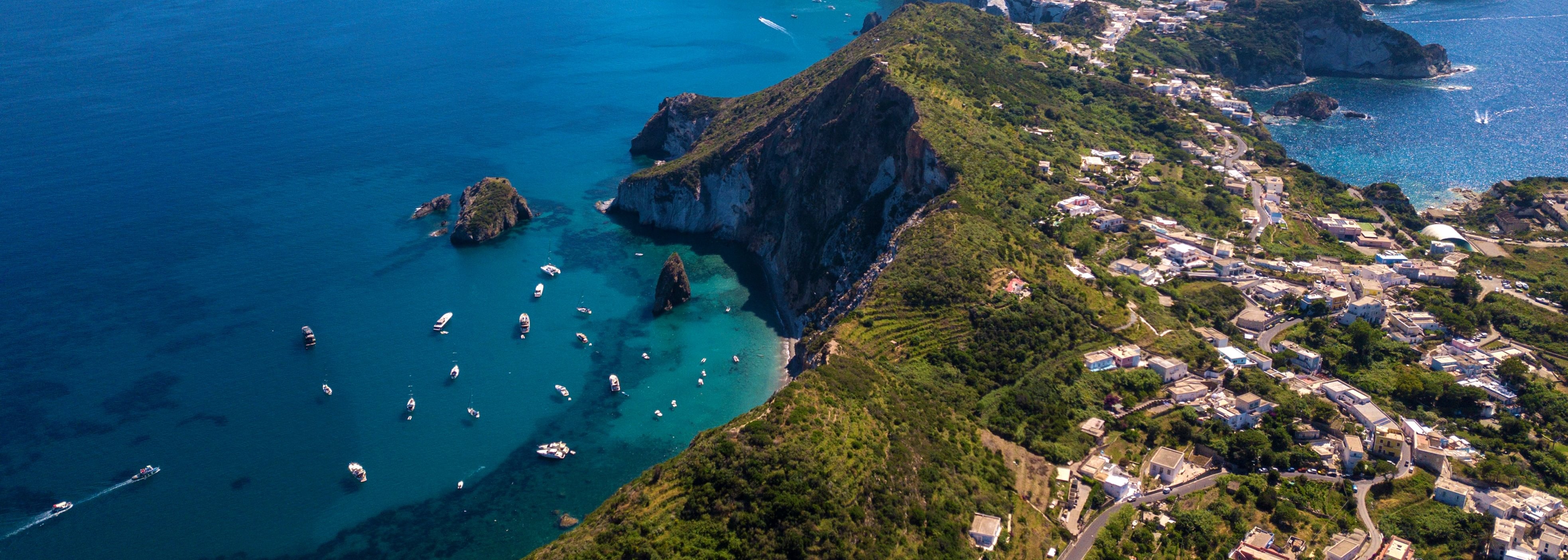 Cruceros de avistamiento de cetáceos con guía de WWF en las Islas Pontinas